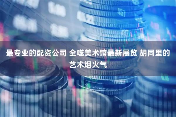 最专业的配资公司 全噬美术馆最新展览 胡同里的艺术烟火气