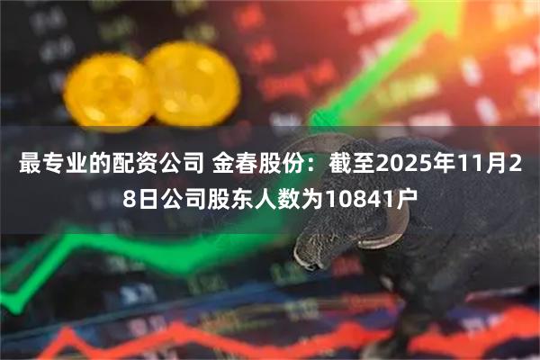 最专业的配资公司 金春股份：截至2025年11月28日公司股东人数为10841户