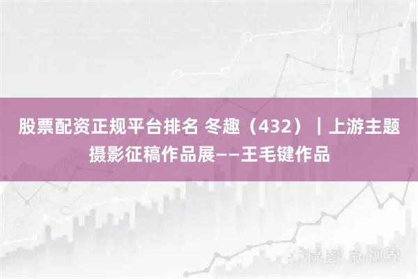 股票配资正规平台排名 冬趣（432）｜上游主题摄影征稿作品展——王毛键作品